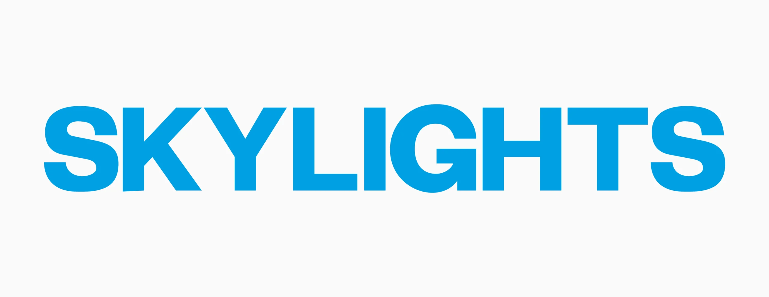 logo skylights